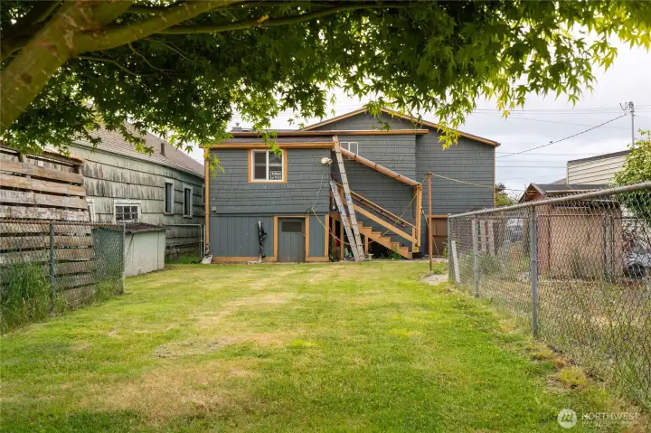 Back yard