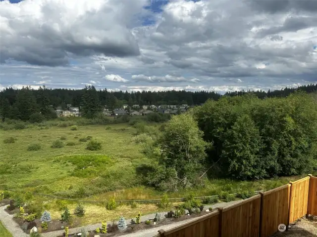 Actual view of community park, trails, and wetlands from the covered deck