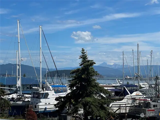 Island living at it's finest. Boaters, you can walk from the Marina to your fully furnished condo that is just waiting for your arrival! Views of Hat Island, Mt. Baker and Cap Sante.