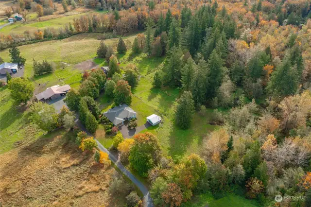 Acreage has wonderful open spaces plus evergreen and deciduous woodlands.