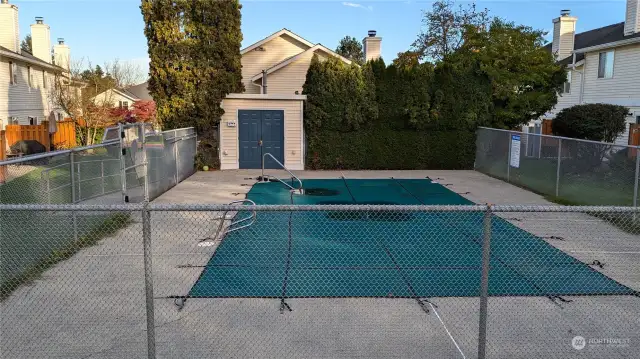 Outdoor pool just ten steps from back patio