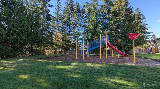 Play area