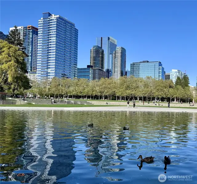 Even the ducks love it!