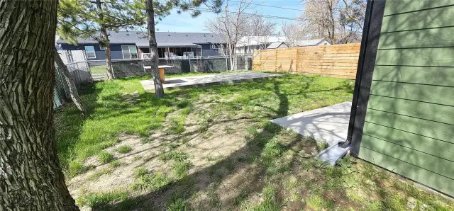 Backyard