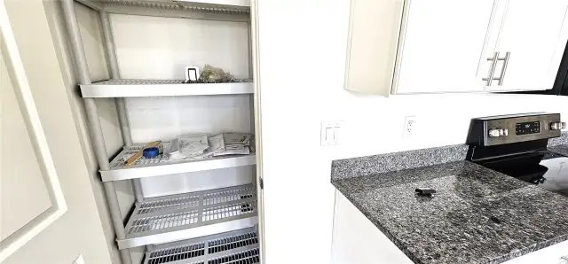 Pantry in kitchen