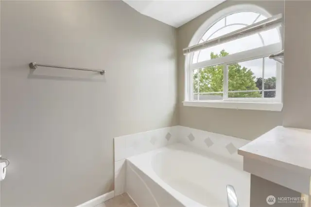 Soaking tub in Primary bath, also has shower on opposite side!