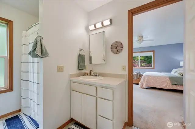 Primary sink area