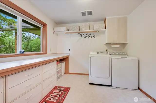 HUGE laundry room on the main level, off the hall bath.