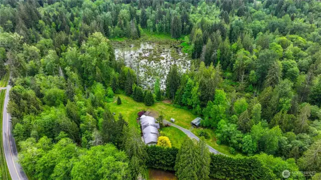 Don't miss this pond on the property, great for wildlife