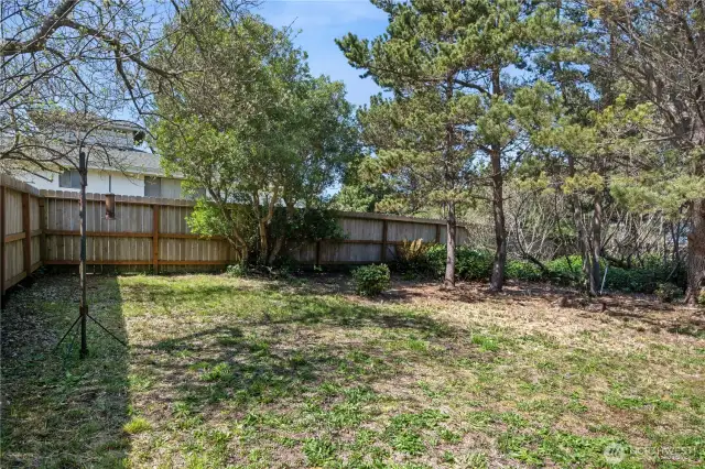 Large backyard