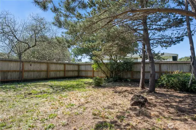 Large backyard