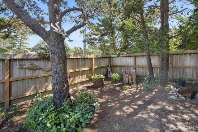 Front yard feels like a sanctuary.