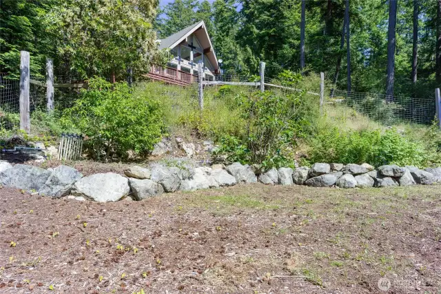 Large raised beds planted with apple, pear and fig trees as well as multiple perennial berries