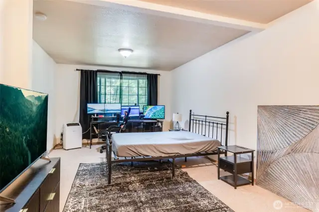 Flex Room Downstairs