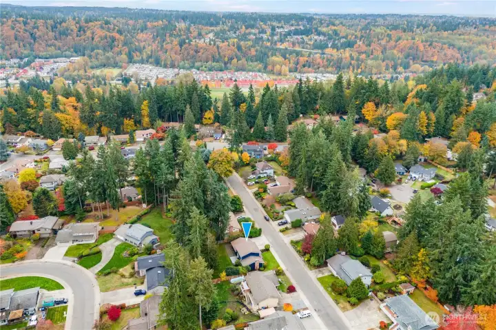 Nearby are the conveniences of restaurants, shopping, and amenities in Renton.