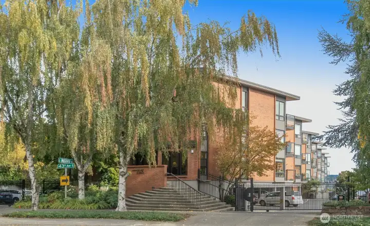 Classic mid century lines