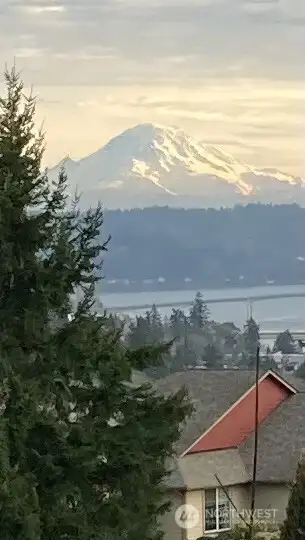 Mt Rainier and Puget Sound water view