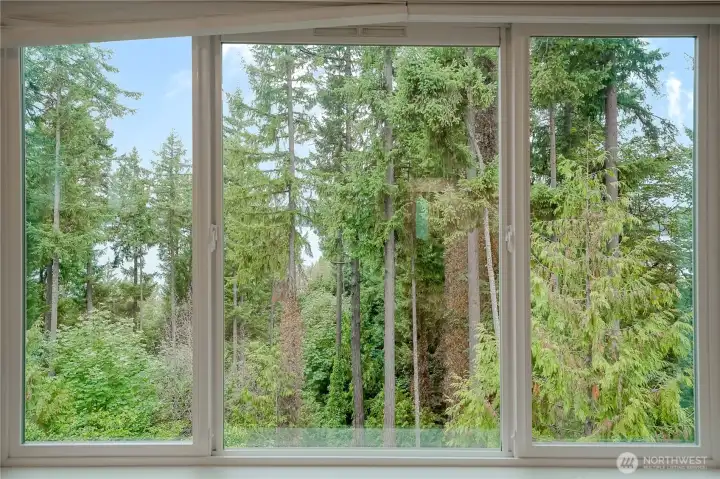 Views from Primary Bedroom