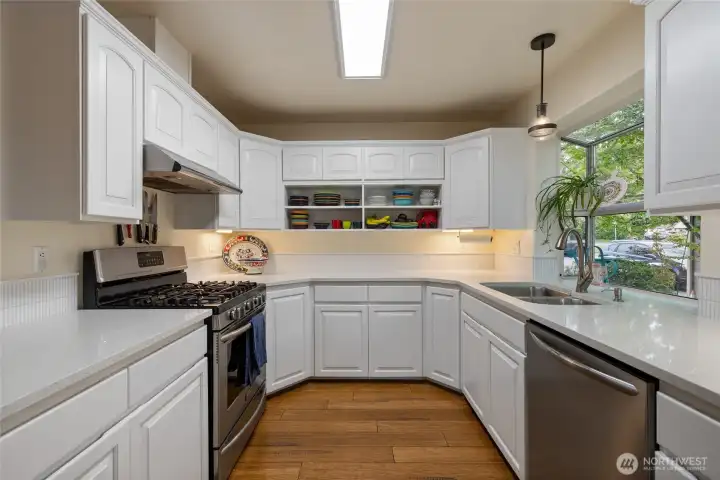 Cook with iron on this gas grill!