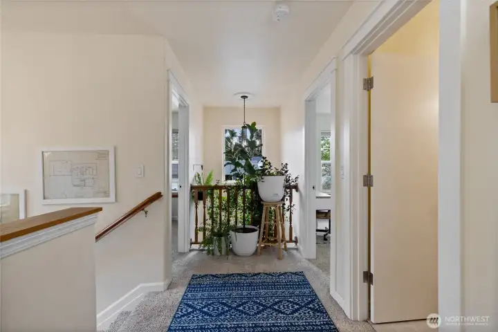 Natural light floods this property from every angle!