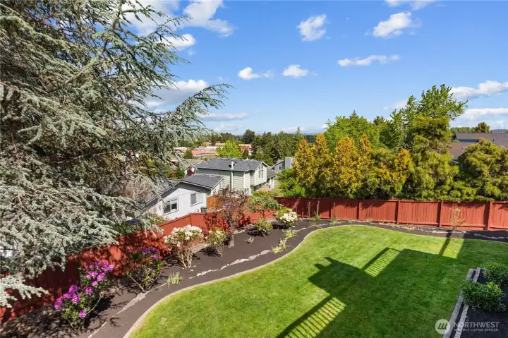 Lovely back yard, with new grass, gorgeous plants, an apple tree, and a fantastic view!!