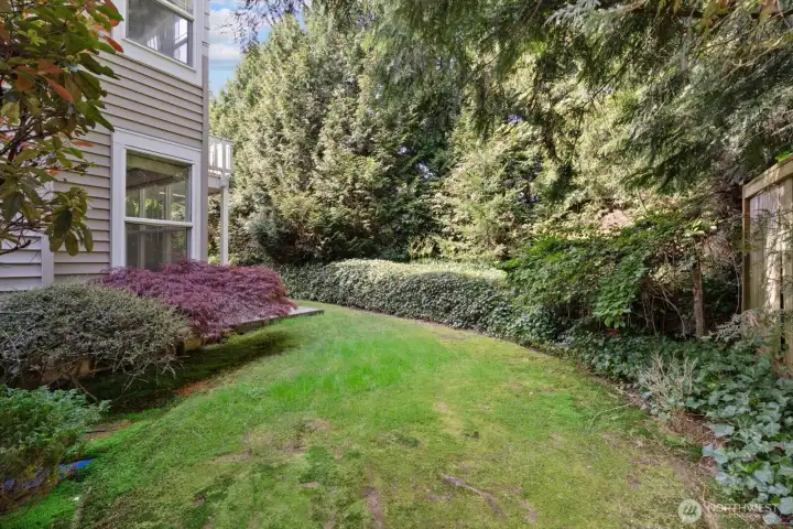 Private backyard