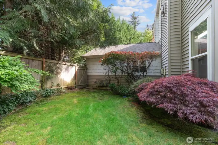 Side yard