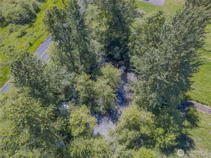 Currently hidden in the northwest corner of the property is a natural pond that is filled by Silver Creek.