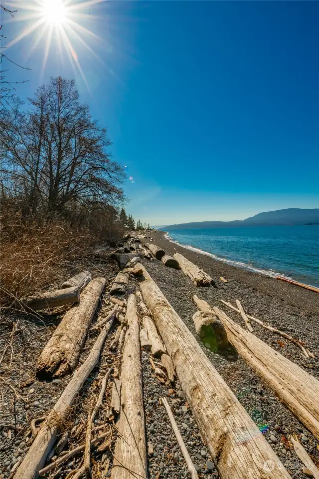 Imagine setting up a nice beach fire spot