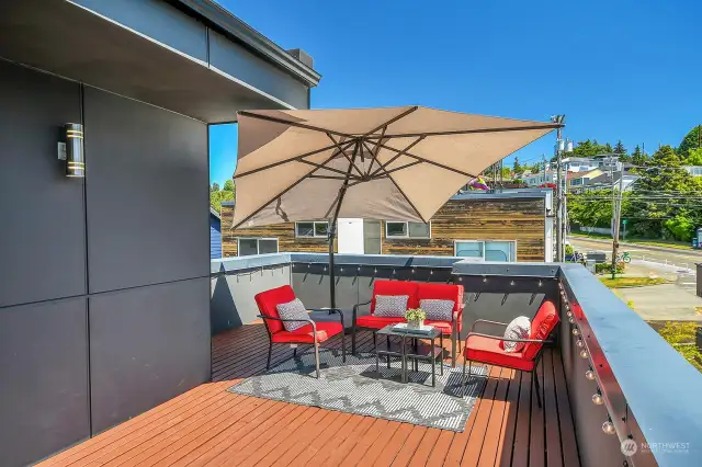 Awesome roof top deck for lounging or entertaining