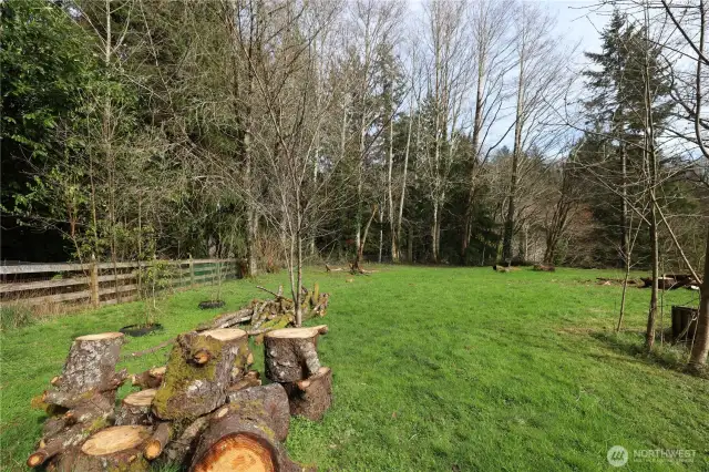 Large Yard