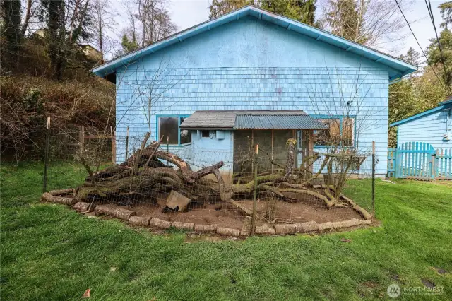Chicken Coop