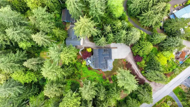 Aerial views shows NE 52nd St at lower right, drive to main house, RV/Shop and DADU at the top. The property extends quite a bit further.