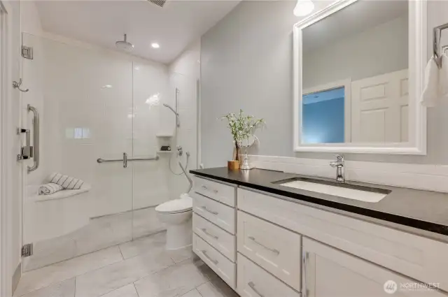 Accessible shower, helper handles on toilet (easily removed) and the left section of the vanity rolls completely away for further ease of access.