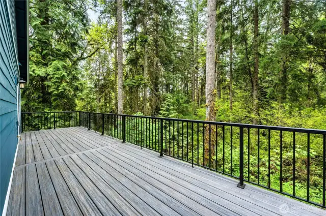 Deck off kitchen puts you right into nature.