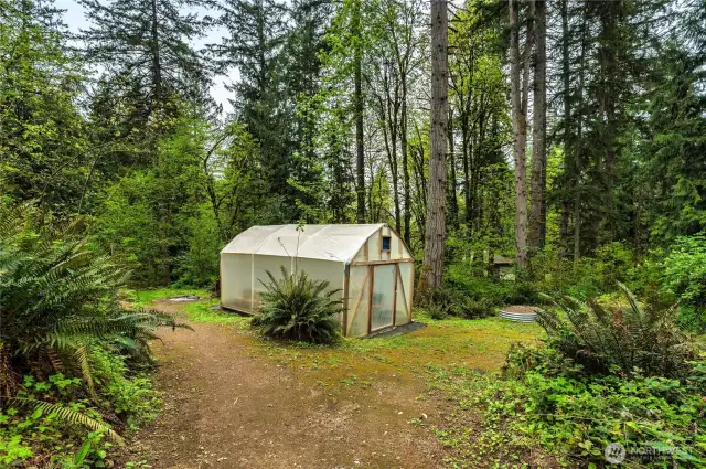 10 x 20 green house.