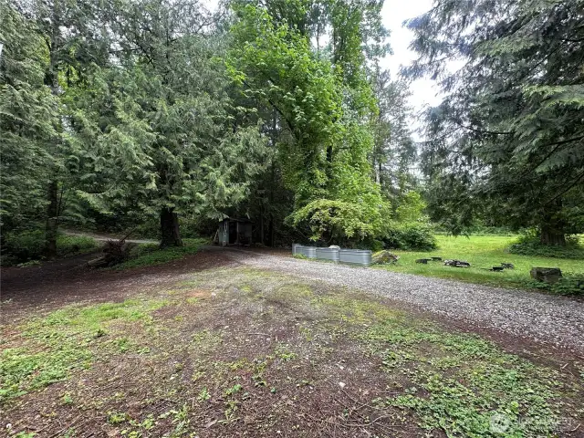 Area around outbuilding and below house