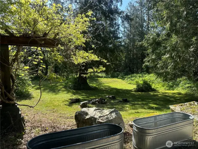Area around outbuilding and below house