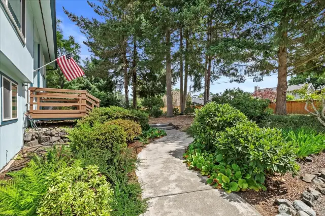 Super Low Maintenance landscaping - everything is on timers and drips.