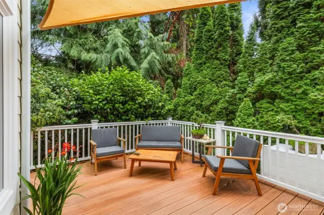 Beautiful greenery surrounds you.
