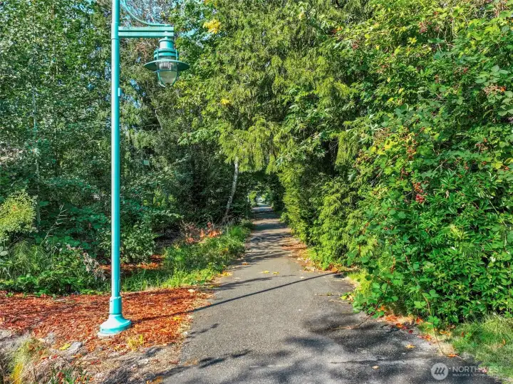 Trail directly behind condo leads into the heart of Kirkland