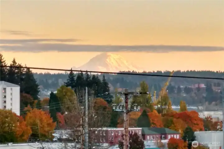 Enjoy the breathtaking view of Mount Rainier!