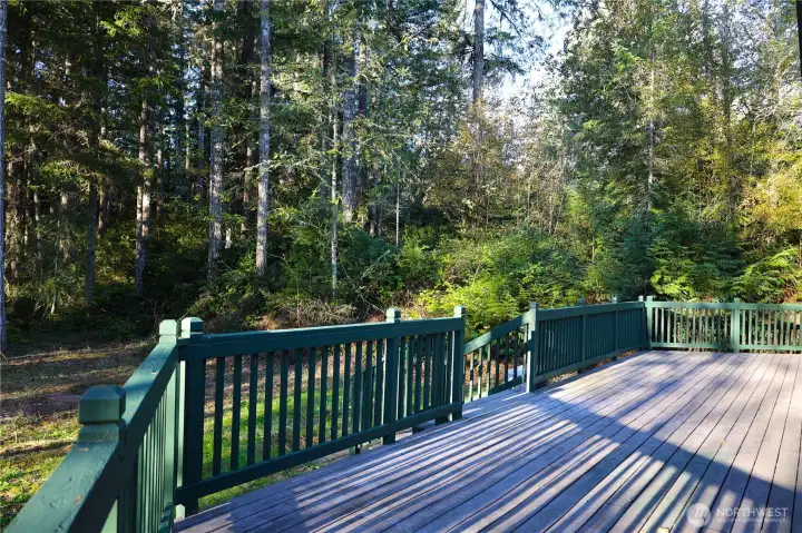 Back deck