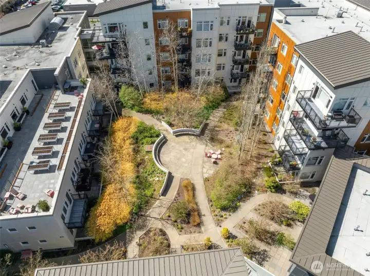 Overview of Courtyard