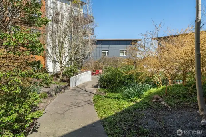 Path through Courtyard