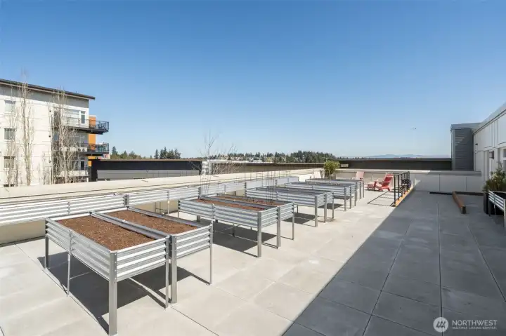 P-Patch 5th Floor, view of Cascade foothills