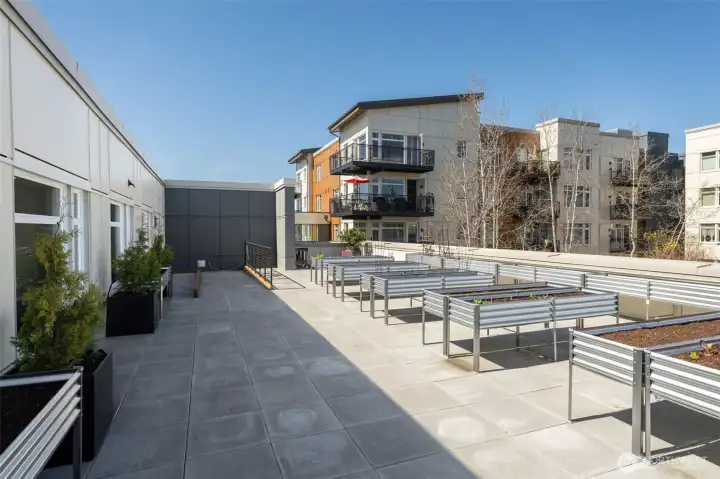 Shared P-Patch Bin #10