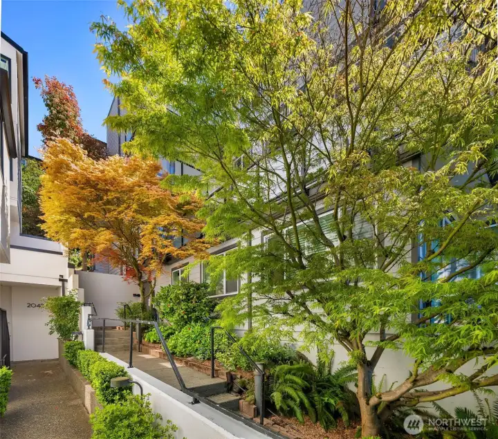 Landscaped entry to the building