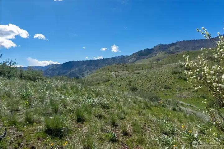 Vast and diverse landscape.