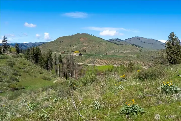 Looking out towards Libby Creek.